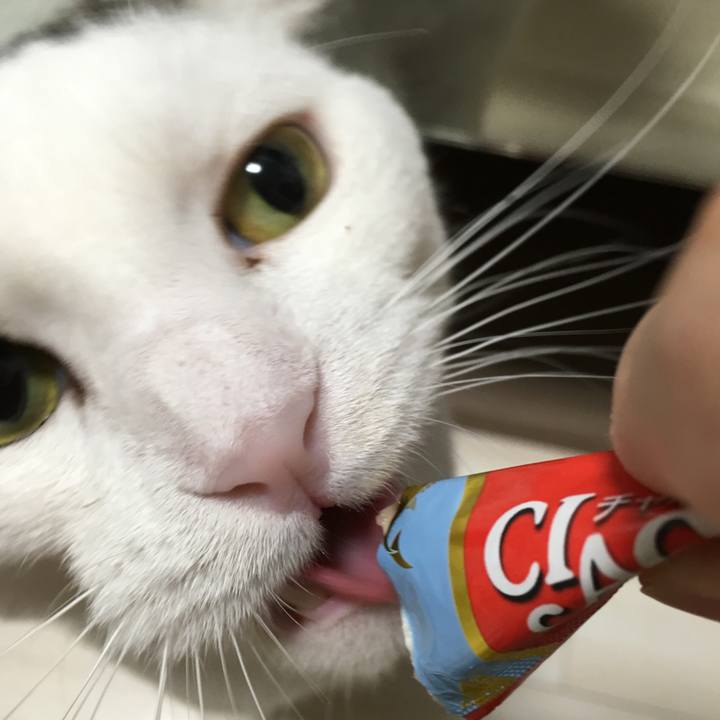 69540ce5 726e 481b bf0f 8ea77039918b