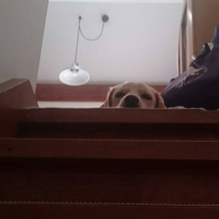 69542fa9 2805 42ef bf94 97f6c4053d75