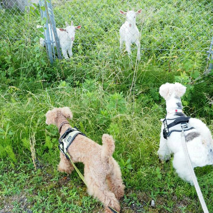 69543bc4 0262 43c5 b128 b7bafb27fa41