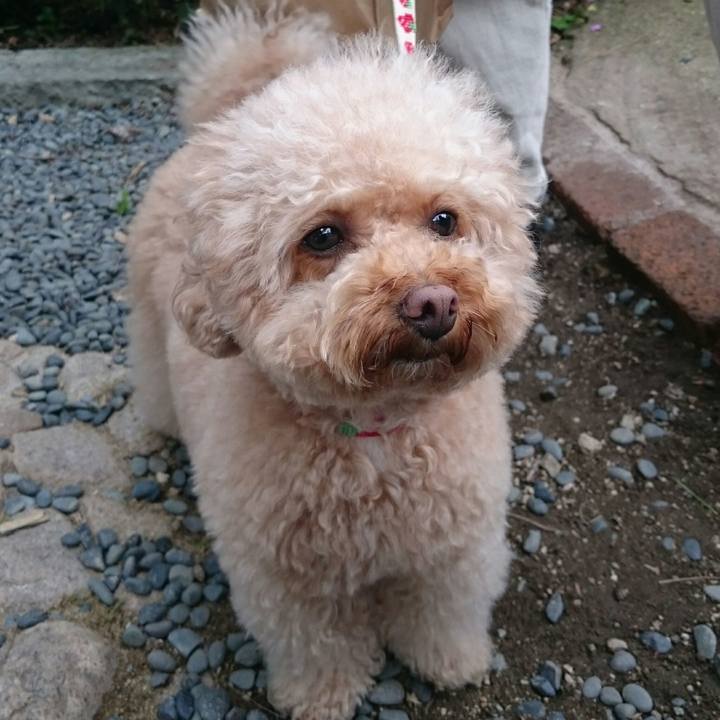 69544f7f b7bc 4465 99d7 ee9c561c96f8