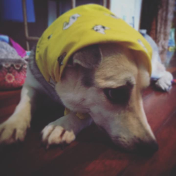 6954b0c3 54c3 4087 b47b f2718a662e59