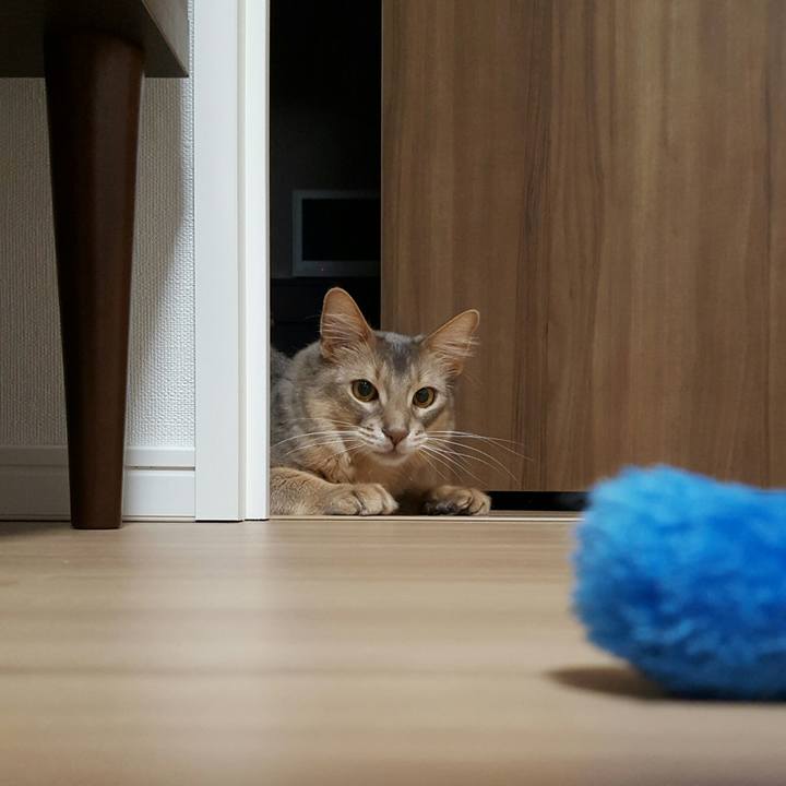 6954d343 e467 4d9f 93b8 4a13504f61ef