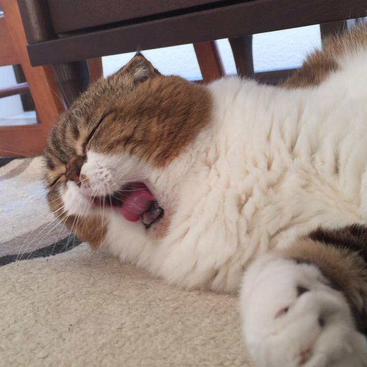 6955a9b1 ad2a 4926 b1df 218bb256df96