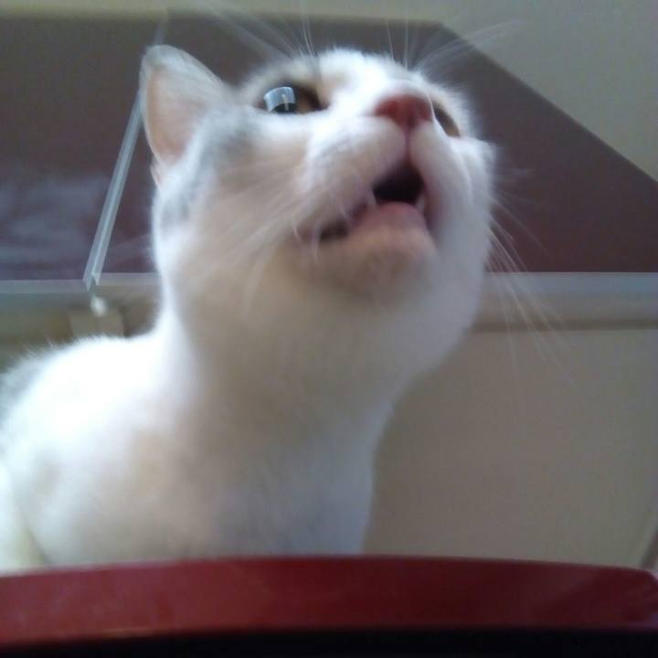 69560543 9a05 4566 83d5 53440eb0eae5