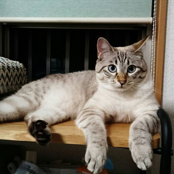 695697ce feec 4e0a ad03 b39912fe5deb