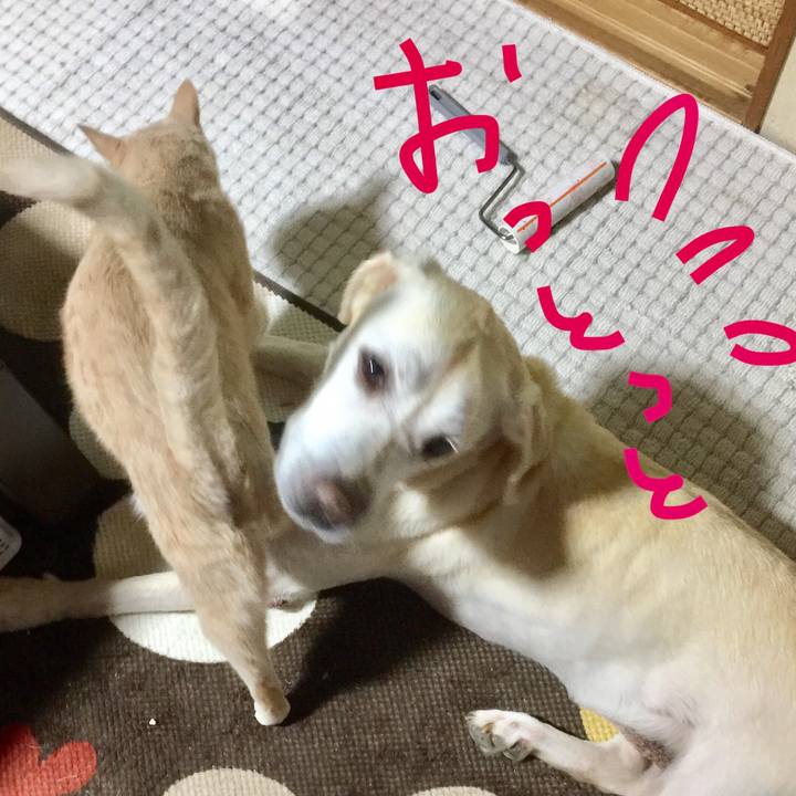 6957537e cb3d 4faa bb70 2b23ff38b21a