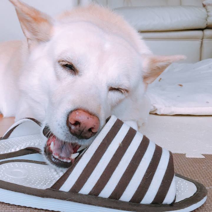 69580406 d3c4 4a42 8044 797b61762f0c