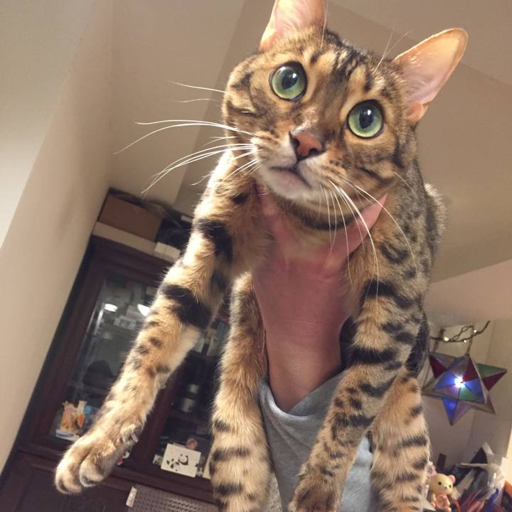 69589d14 8cb6 478a 84ad 07788f95197b