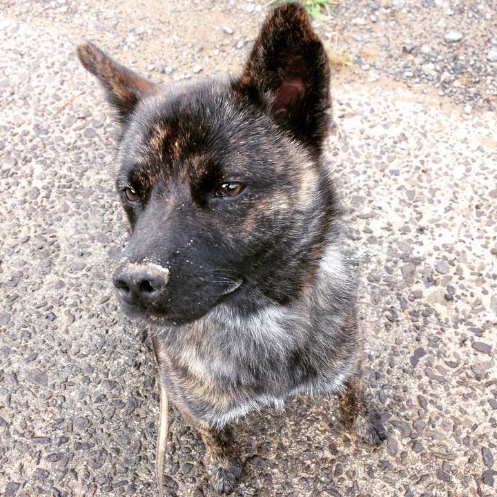 6958be4a 19e3 4978 b678 662664006bd7