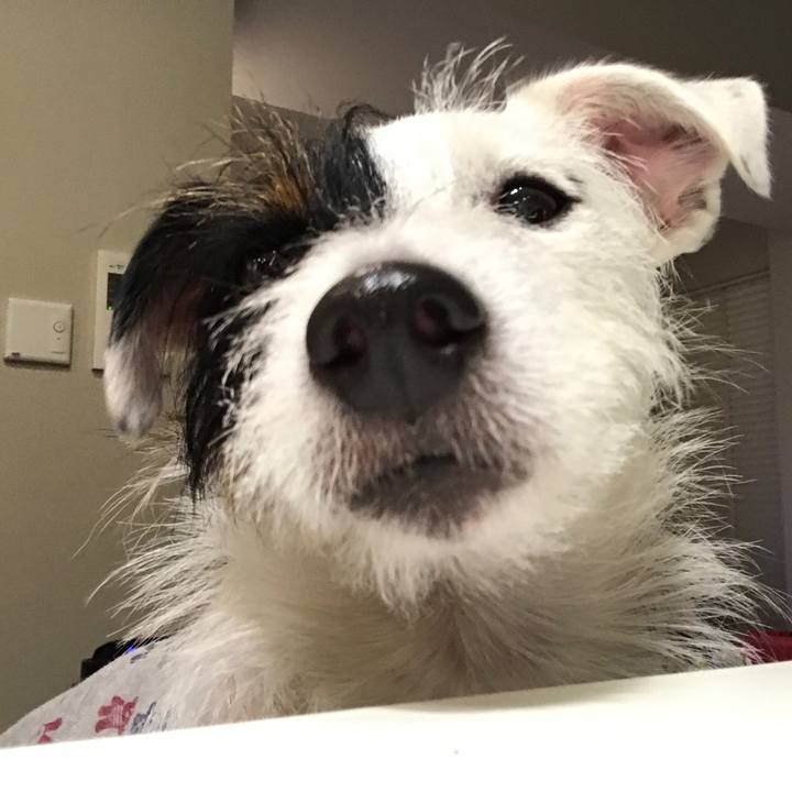 6958ddf1 a585 4778 958d 9d50a8e0638a