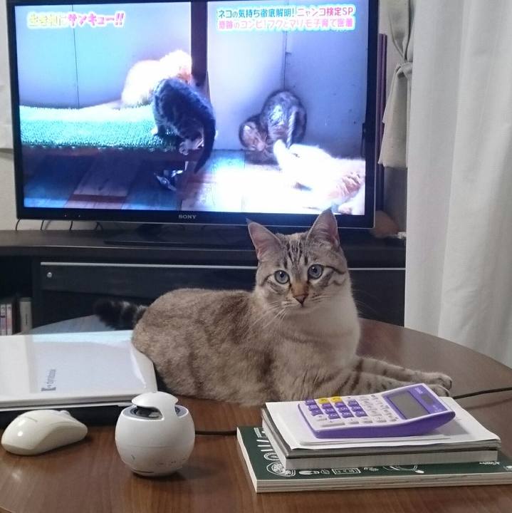 6958f158 b351 4e48 b342 faa2fafd3bce