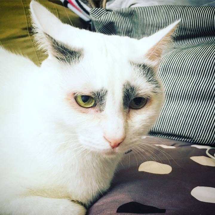 69596c68 caa0 4272 8da9 79ced6113249