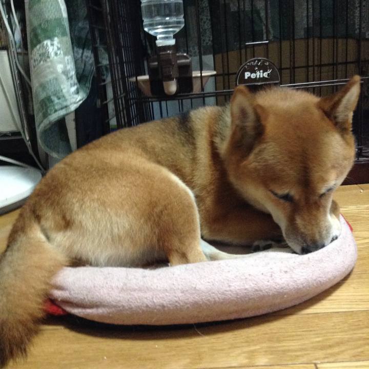 69599305 bb7d 4ad6 aef2 d48ba2056190