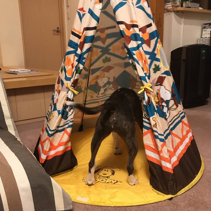 695a7918 e3fd 4282 a643 26a4ecda6859