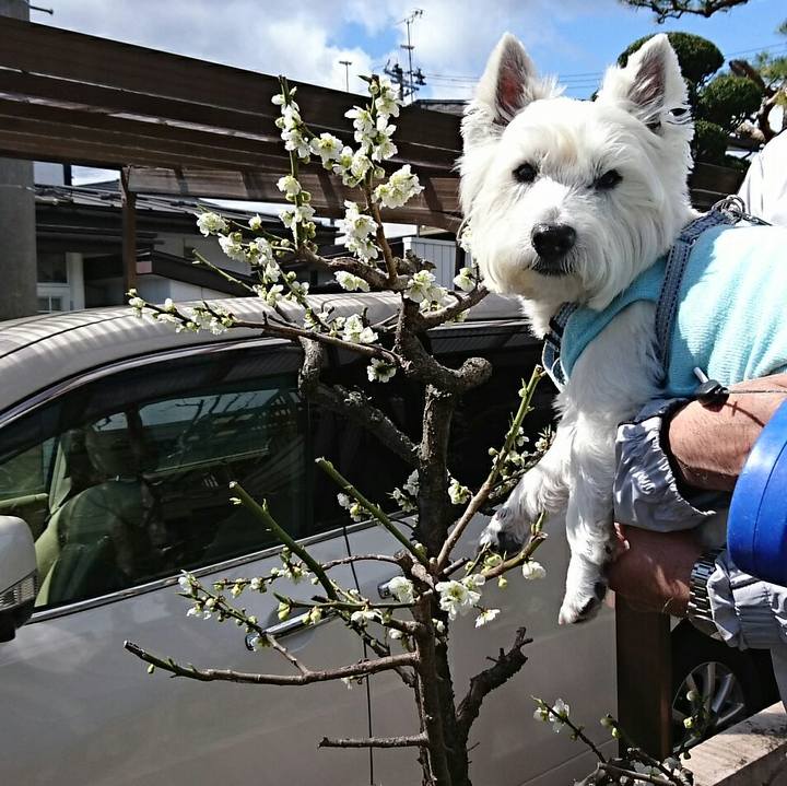 695ad23d d681 4fa2 ae50 d25112adc2ad