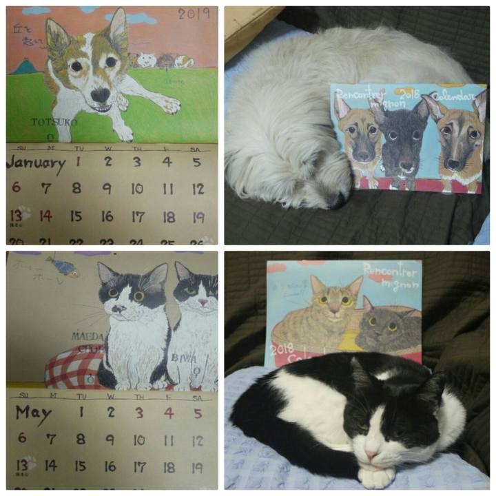 695ae5a1 4d56 4cc0 9811 fcd97a833ac8