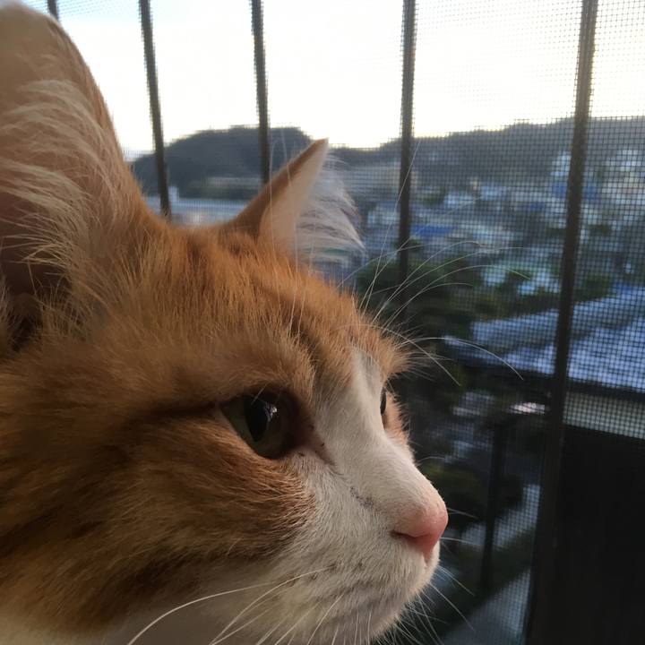 695b0a9a 9d31 4bcf 9674 0a8c3e7aa519