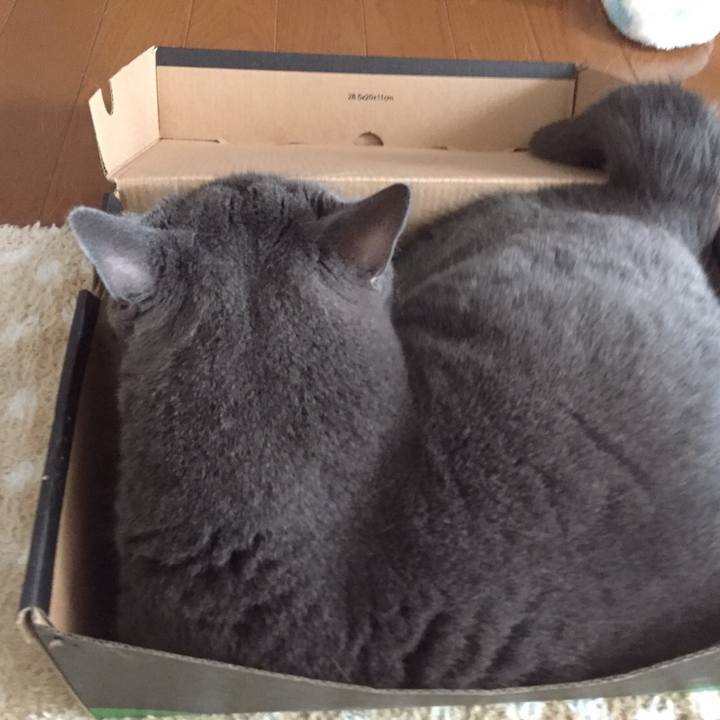 695bbdbc 5c56 40ba 9e26 373e461da38d