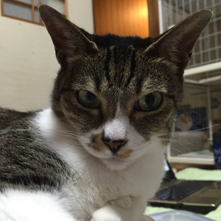 695bfd48 b6ba 4faa 9726 be1fc22091d7