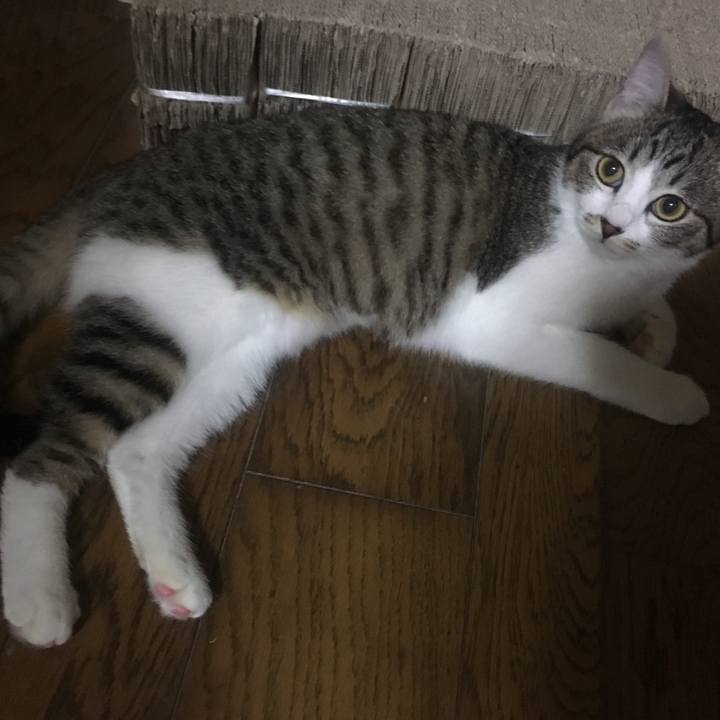 695c2051 41b8 4048 bd6f d2d435957f88