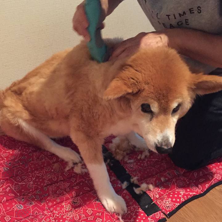 695d1785 67fc 4e9b 9e17 6cb84a8d1c8a