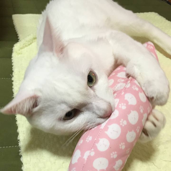 695d1bcc 8922 4b64 8432 375c07e10c94