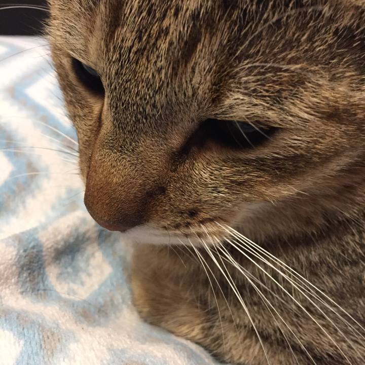 695d201b 486d 4f09 88e7 9c85e35e52b4