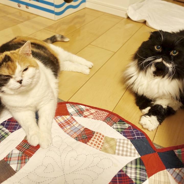 695dc246 6c94 435f be90 103e3d8fa4db