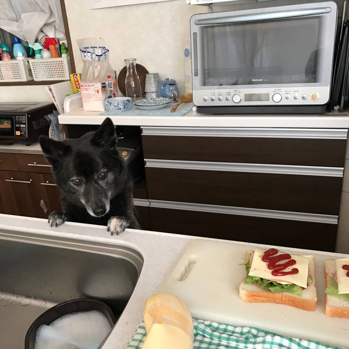 695e9557 7cdf 4631 973a 1376fc8fac51