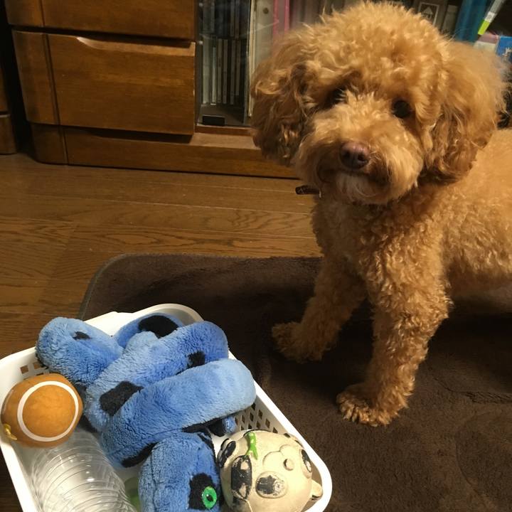 695f0f35 c335 496c bdeb e7edc9bba971