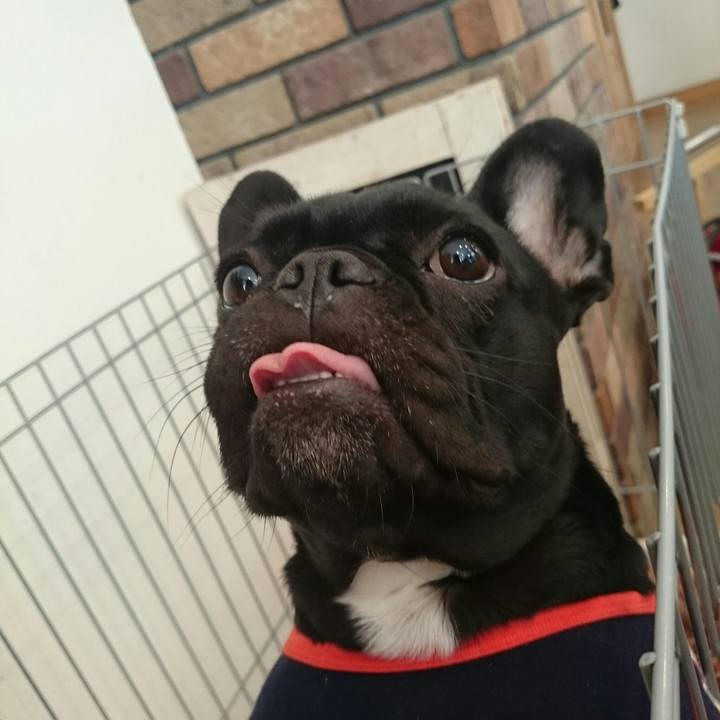 695f7e20 1638 4951 8005 61eb913e667b