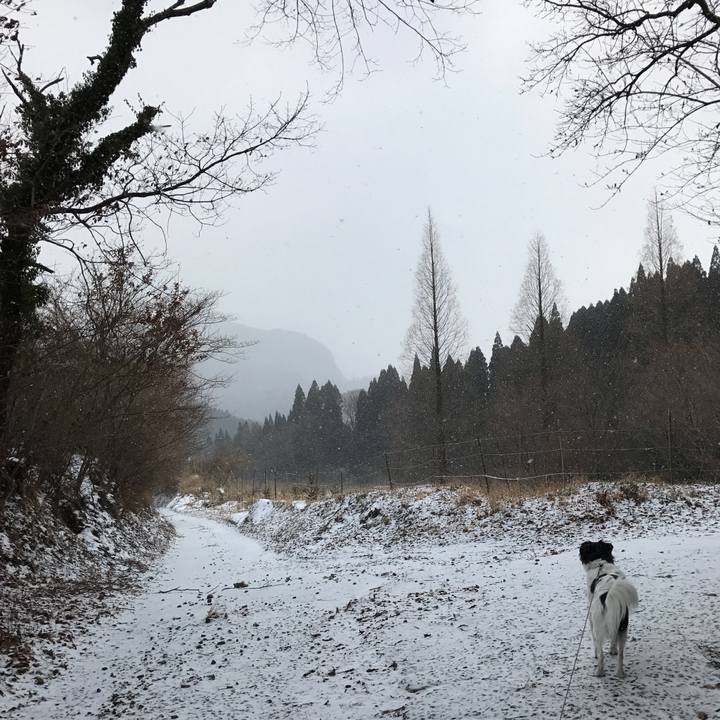 69602506 2b8b 4f1b 8a6b 5164ca4f57eb