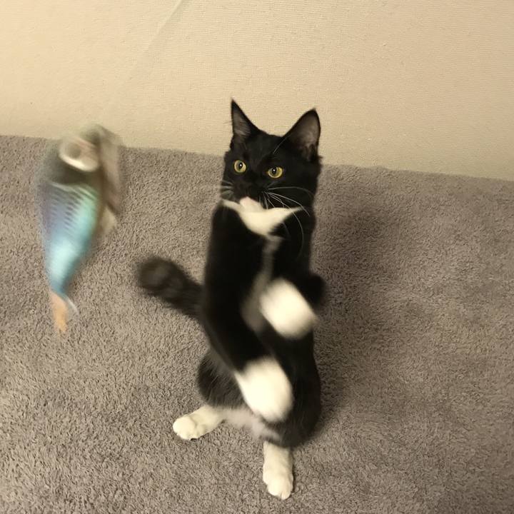 6960efd2 86e1 4488 ae46 c2862be17ddf