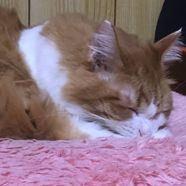 696111e1 c16f 49f6 af04 3c83e3c04493