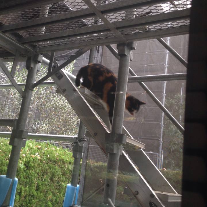 6961b244 a9ec 490c 8d66 88d0c6fb6012