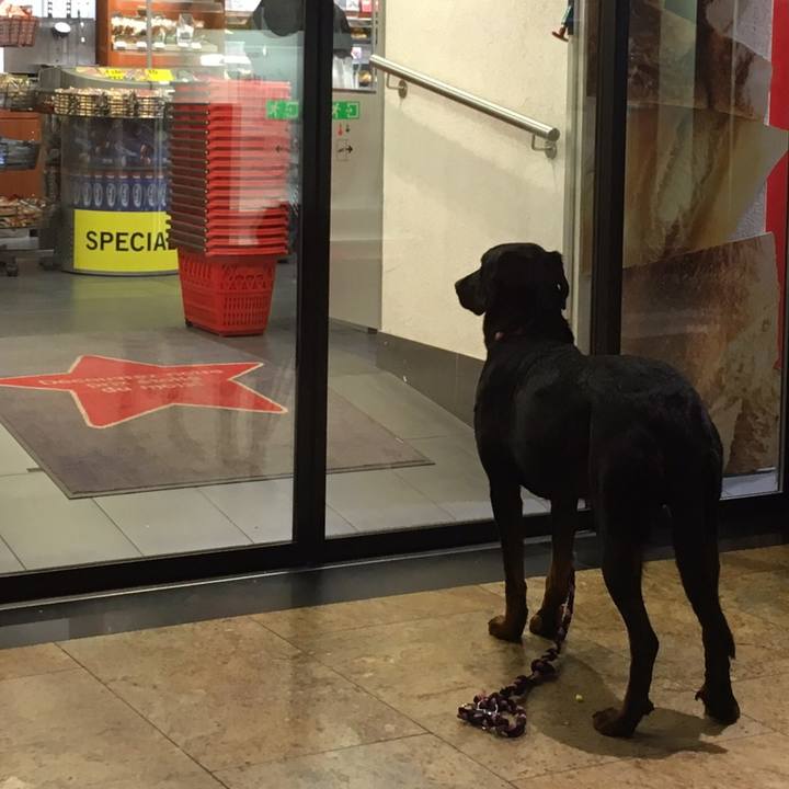 6961cc27 99f5 472f a59c 26d45190dcd7