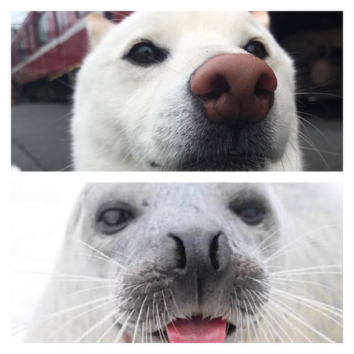 6961df99 0777 46b3 807f c0d434f0256a