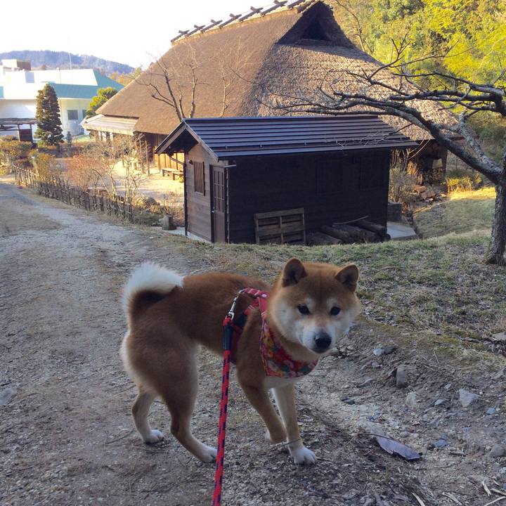 6961e05f 1564 411c 86a1 9e55e1c48110