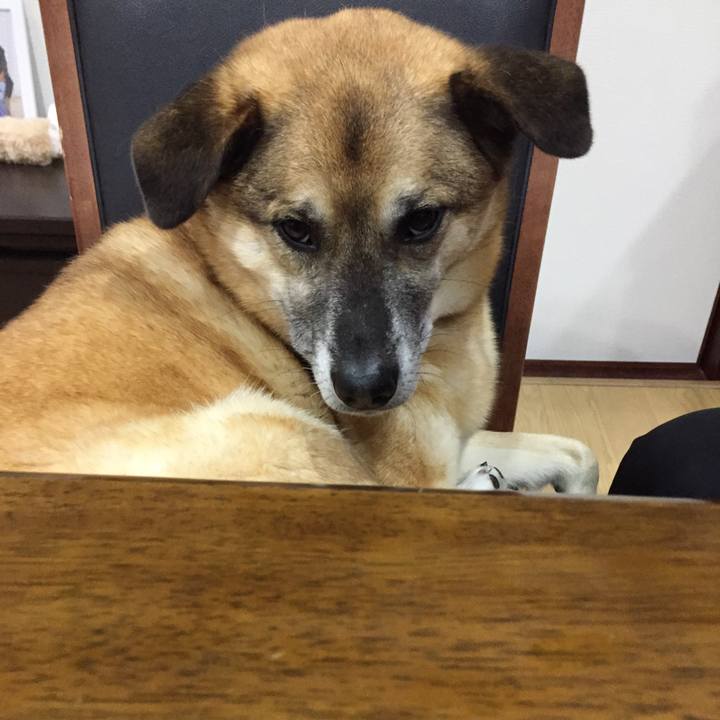 6961e589 4955 4fe2 842e 608dc4cd51cb