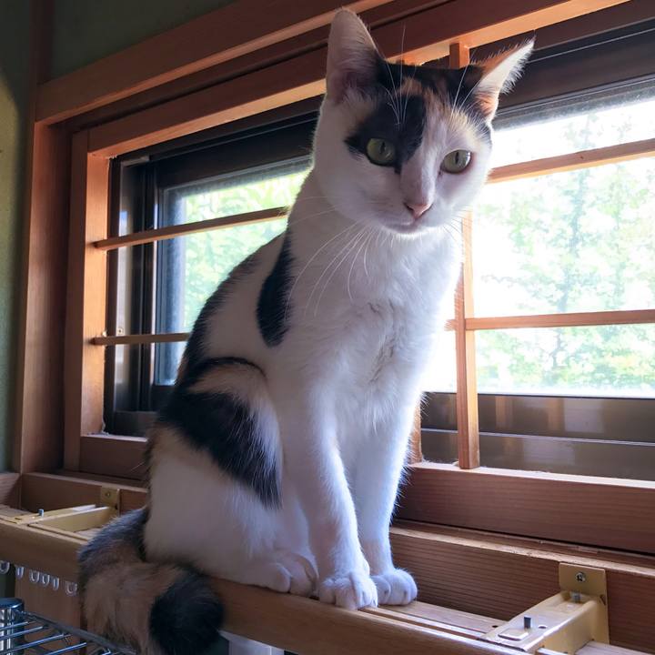 69620b44 88f1 4a1c 91b8 e3d5324cf253