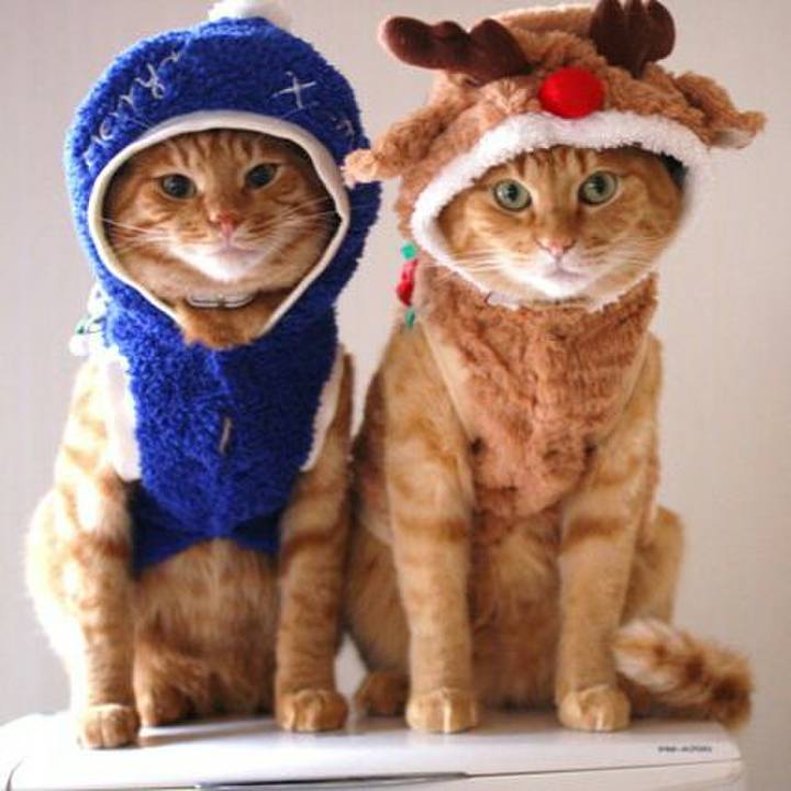 69620ef3 8441 4ae0 81e1 4f44218b273a