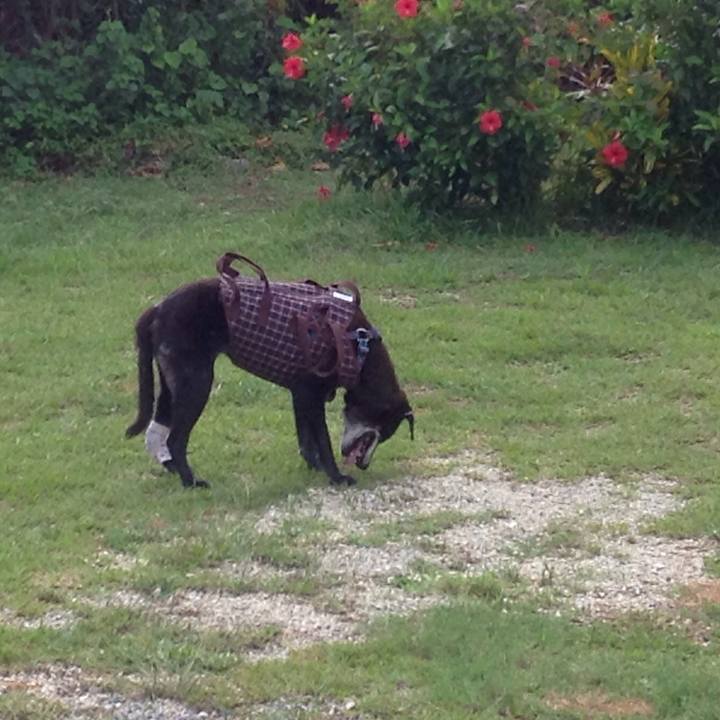 69625752 4b42 478f bde3 b160bb7737c9