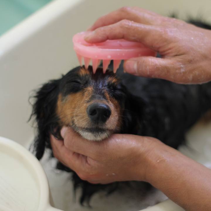 696259e7 edc2 496c 8dab 4b108b4f08af