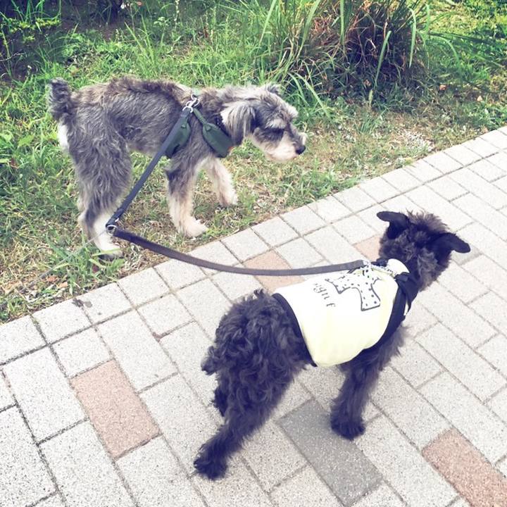 6962d929 fa42 4feb 81a3 fa69f7a4a2f2