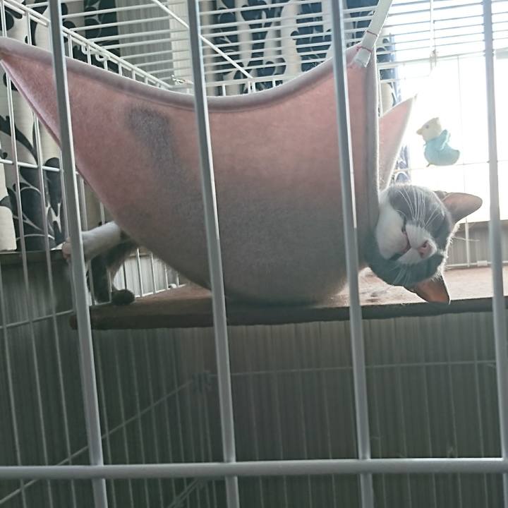 69630623 2735 4cca b880 c58a8fdfe4f8