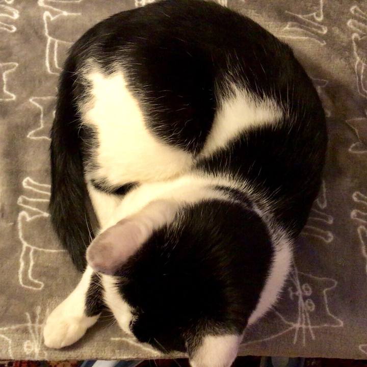 696368da e435 4857 90a5 6fe39889d39b