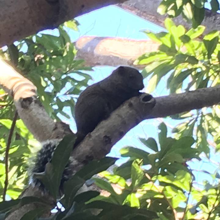 6963a55b cf7f 4e34 a78c 40854347b336