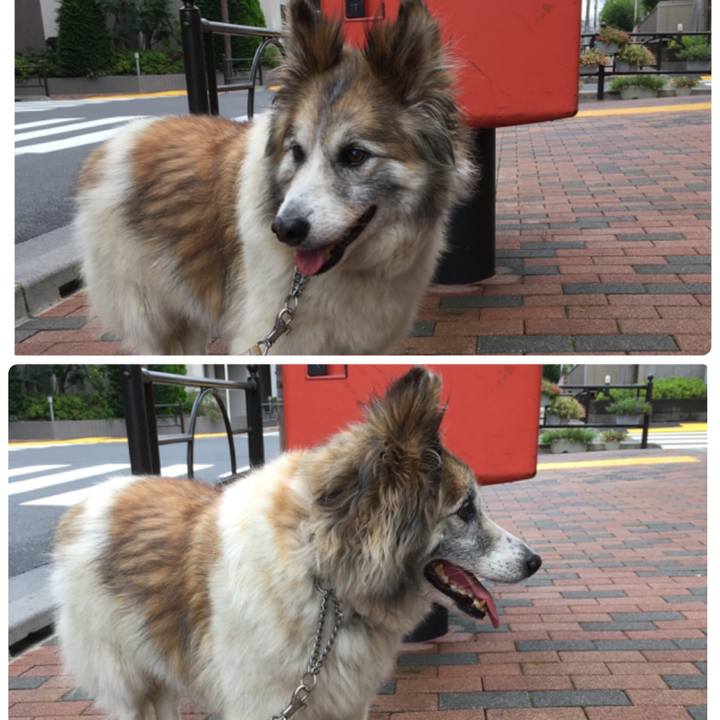 6963dc8e 160e 491b afcd 5c092013fc90