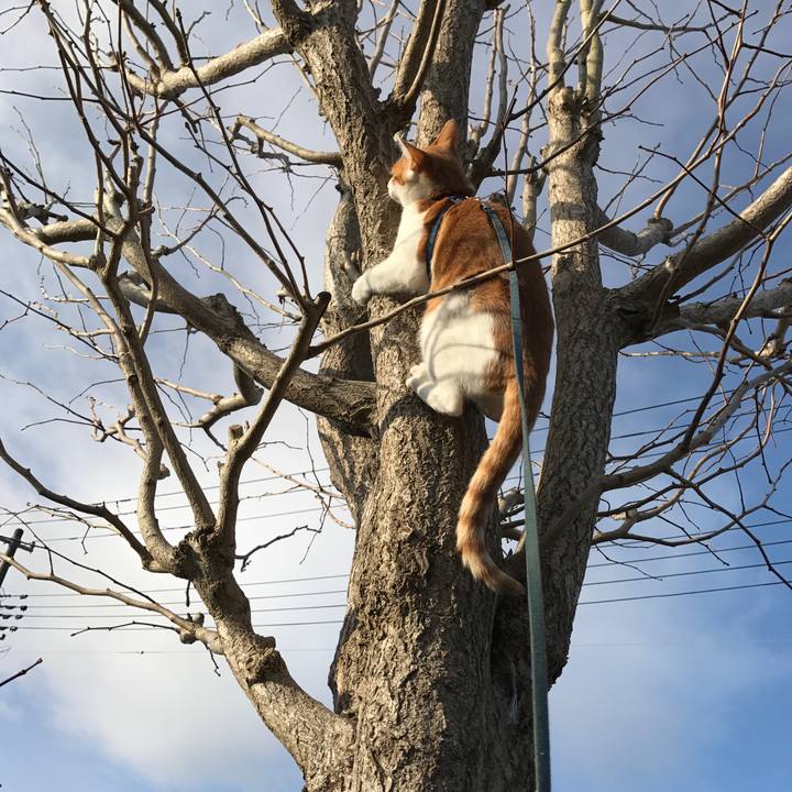 6963edd5 0eda 41dd bbd1 951bbd6e48f7