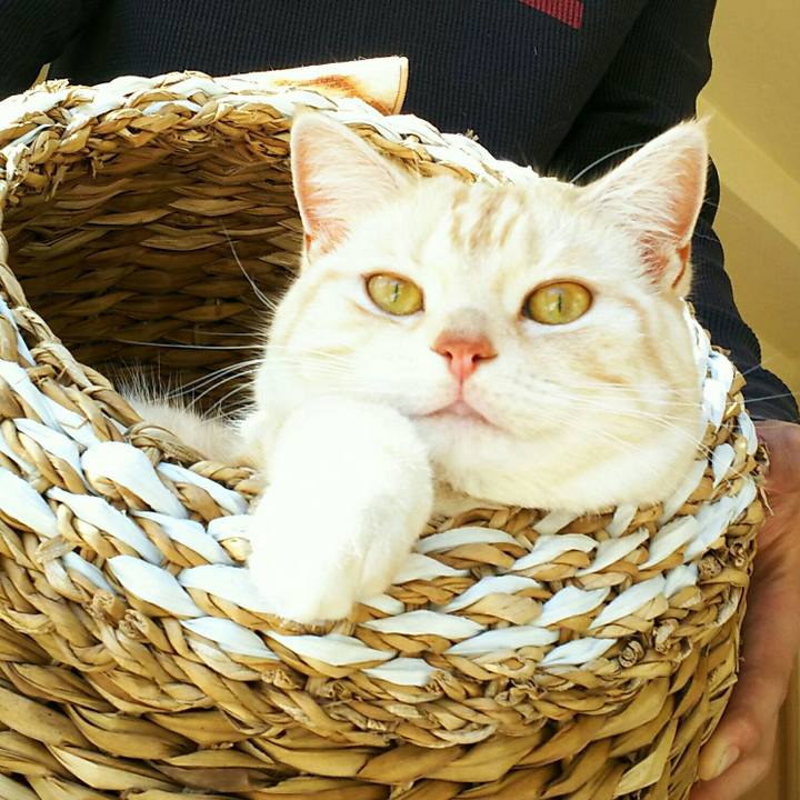 6964008b d508 4c1c b2ba 30549b9afb01